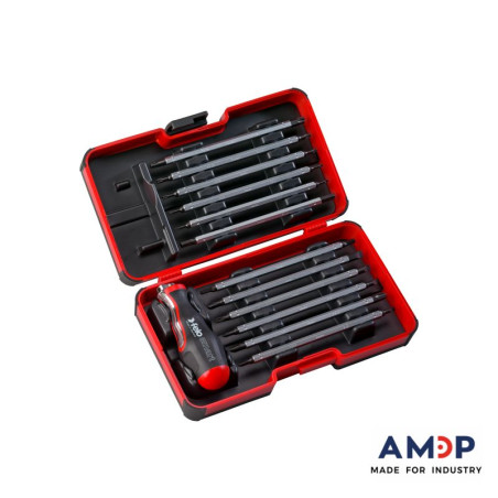 XL-Strongbox 13-pcs. smart Evo SL/PH/PZ/TORX®/HEX LG