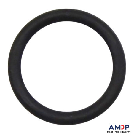 O-RING (48951-47) 202-290