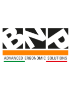 BNP logo